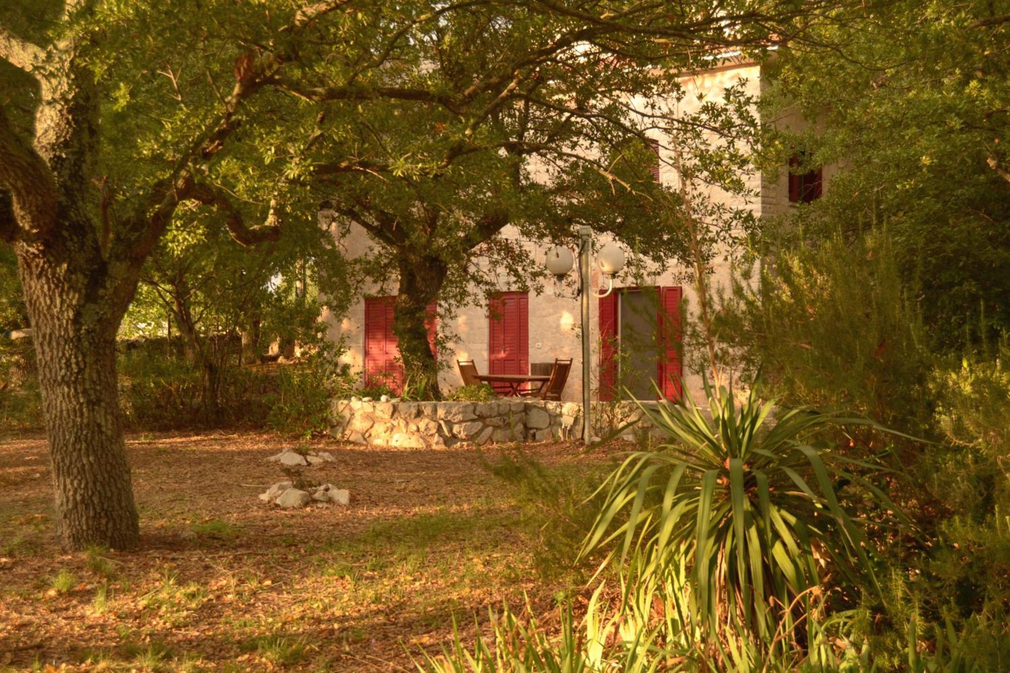 Par Tòt Casa de hóspedes Locorotondo Exterior foto