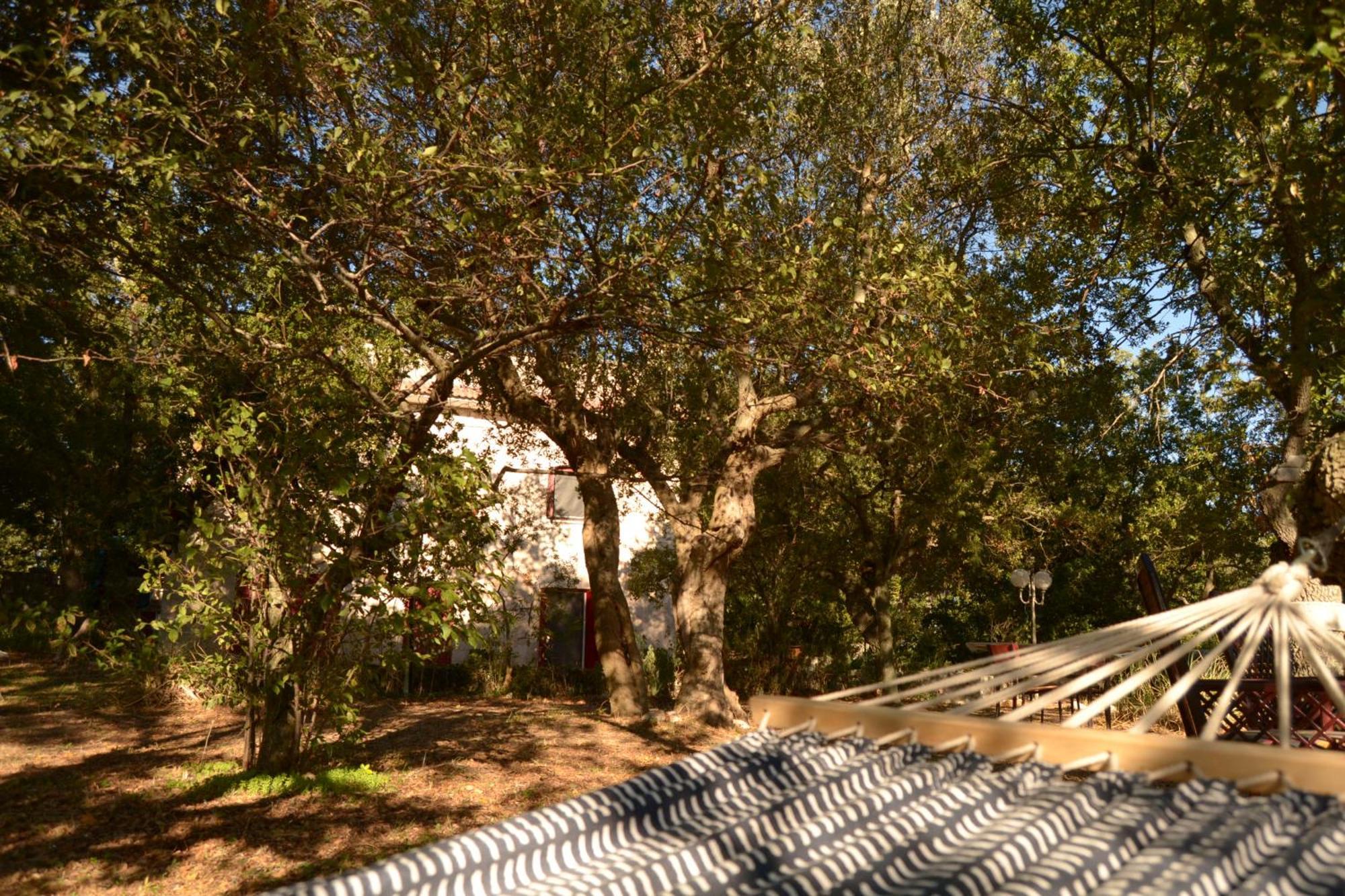 Par Tòt Casa de hóspedes Locorotondo Exterior foto