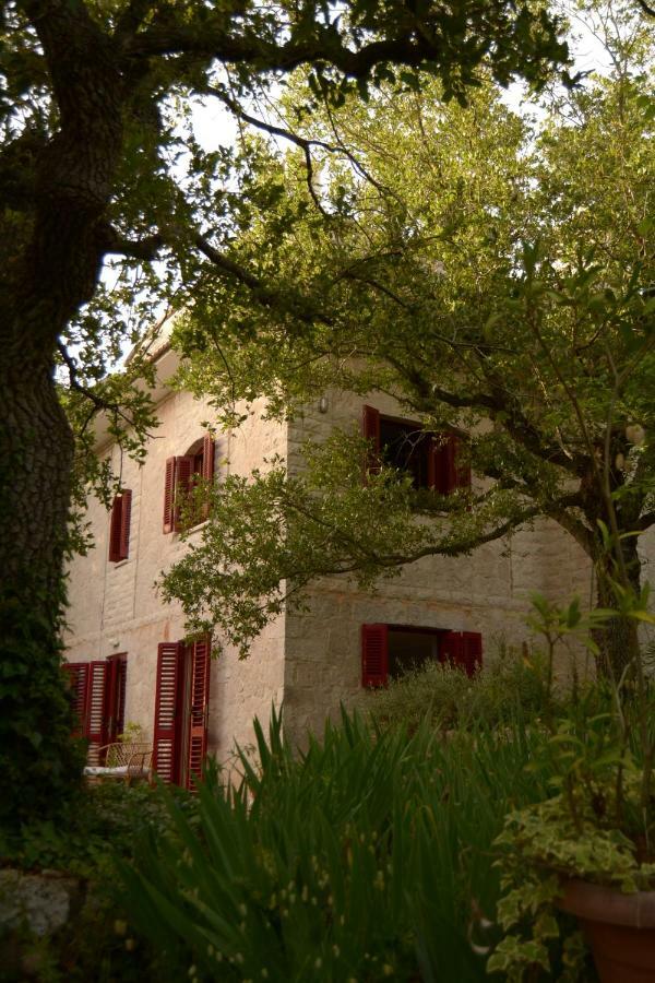 Par Tòt Casa de hóspedes Locorotondo Exterior foto